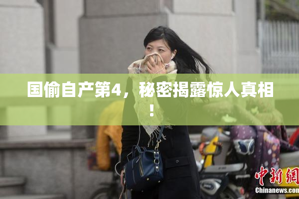国偷自产第4，秘密揭露惊人真相！