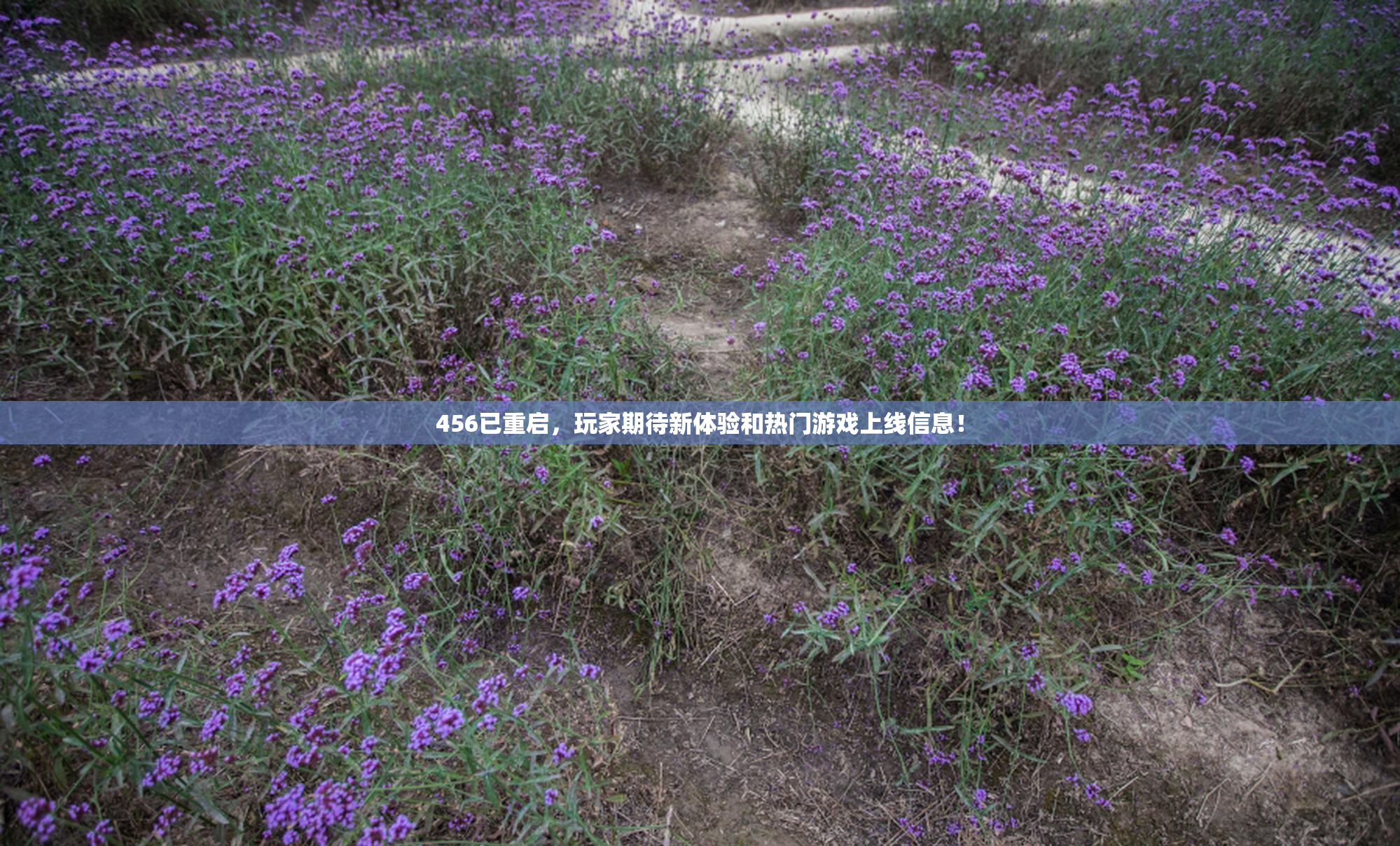 456已重启，玩家期待新体验和热门游戏上线信息！
