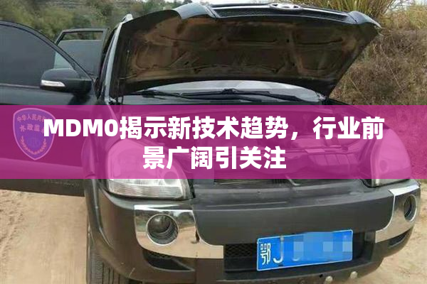 MDM0揭示新技术趋势，行业前景广阔引关注