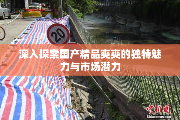 深入探索国产精品爽爽的独特魅力与市场潜力