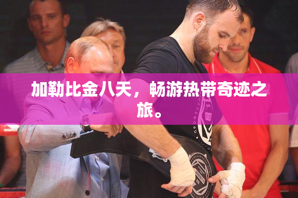 加勒比金八天，畅游热带奇迹之旅。