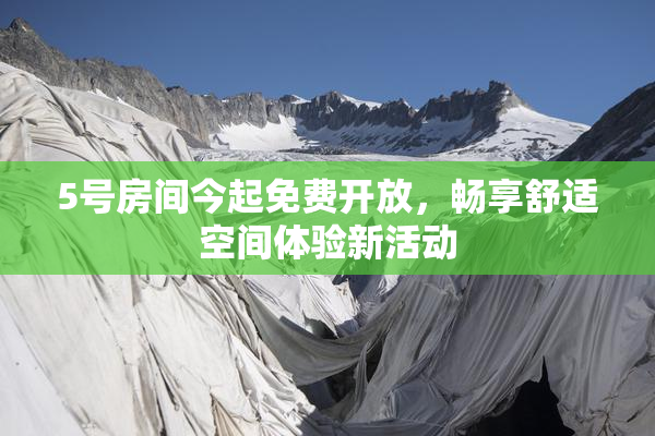 5号房间今起免费开放，畅享舒适空间体验新活动
