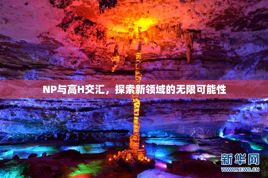 NP与高H交汇，探索新领域的无限可能性