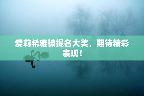 爱莉希雅被提名大奖，期待精彩表现！