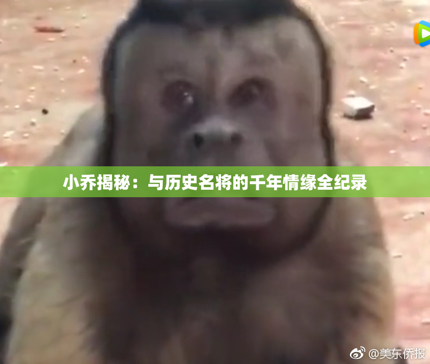 小乔揭秘：与历史名将的千年情缘全纪录