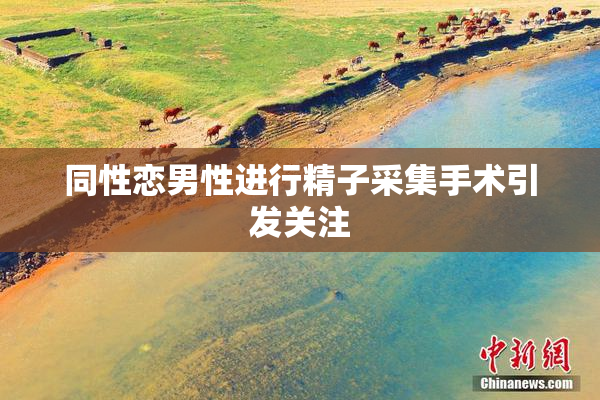 同性恋男性进行精子采集手术引发关注