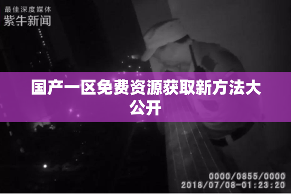 国产一区免费资源获取新方法大公开