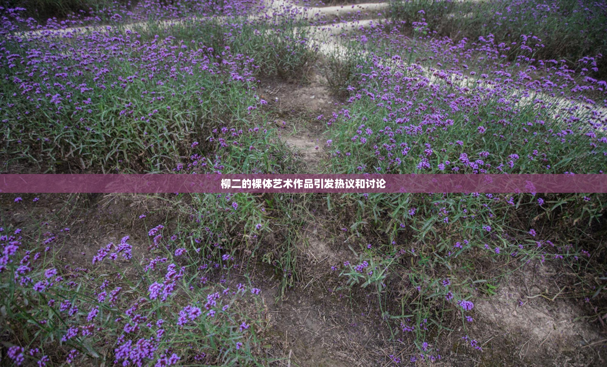 柳二的裸体艺术作品引发热议和讨论