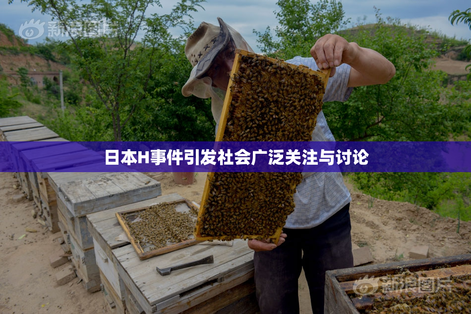日本H事件引发社会广泛关注与讨论