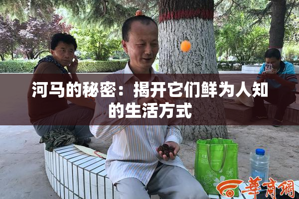 河马的秘密：揭开它们鲜为人知的生活方式
