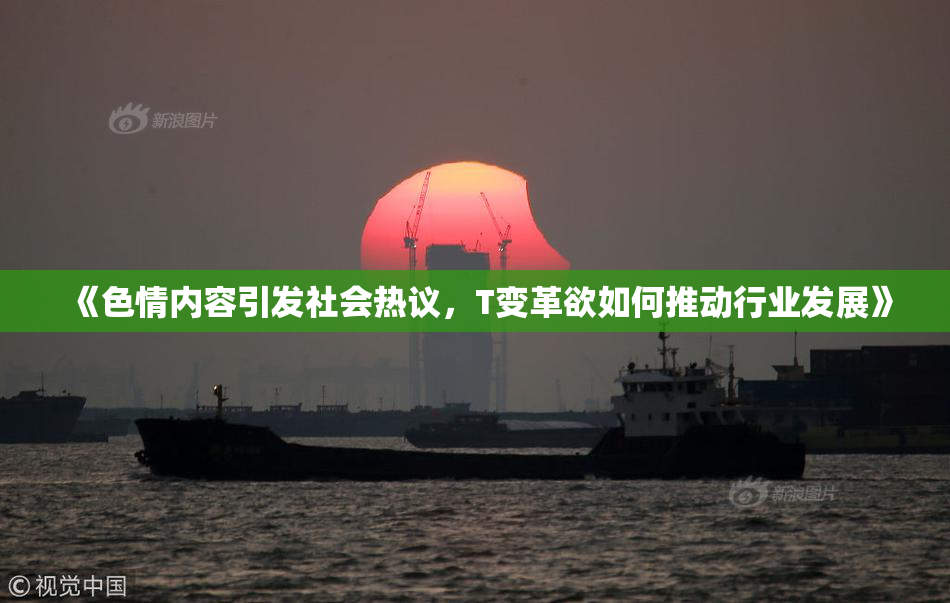 《色情内容引发社会热议，T变革欲如何推动行业发展》