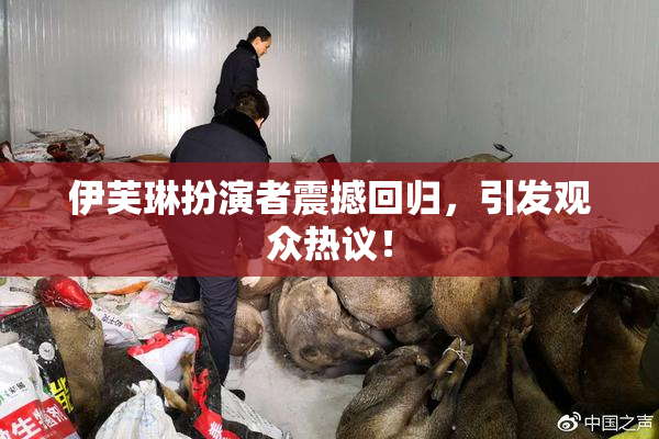 伊芙琳扮演者震撼回归，引发观众热议！