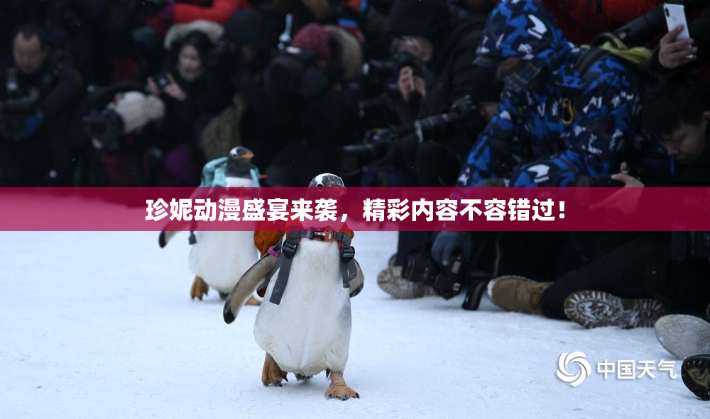 珍妮动漫盛宴来袭，精彩内容不容错过！