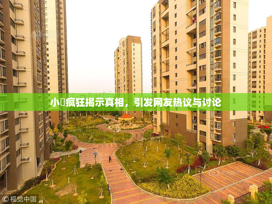 小泬疯狂揭示真相，引发网友热议与讨论