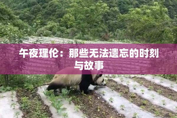 午夜理伦：那些无法遗忘的时刻与故事