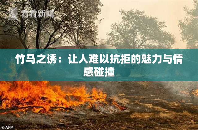 竹马之诱：让人难以抗拒的魅力与情感碰撞