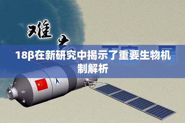 18β在新研究中揭示了重要生物机制解析