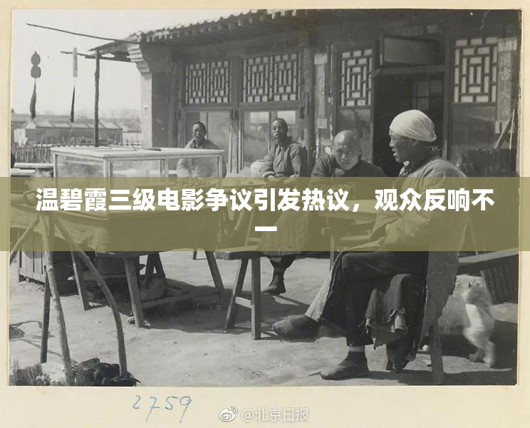 温碧霞三级电影争议引发热议，观众反响不一