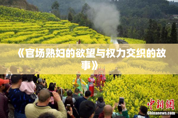 《官场熟妇的欲望与权力交织的故事》