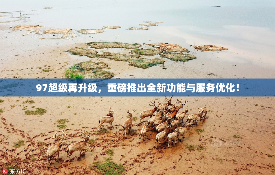 97超级再升级，重磅推出全新功能与服务优化！