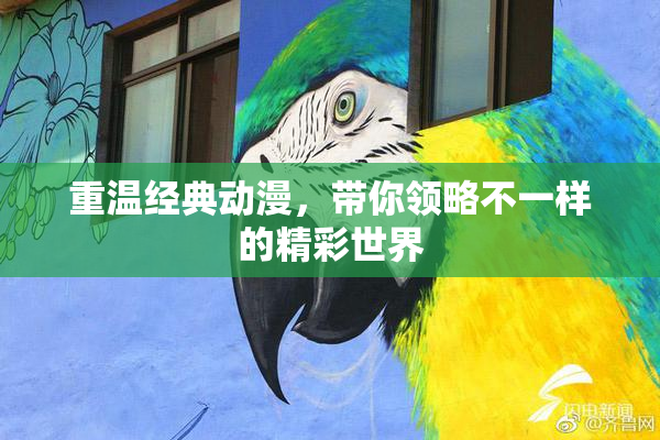 重温经典动漫，带你领略不一样的精彩世界