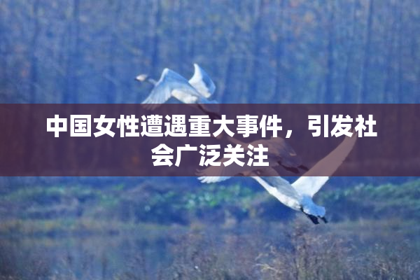 中国女性遭遇重大事件，引发社会广泛关注