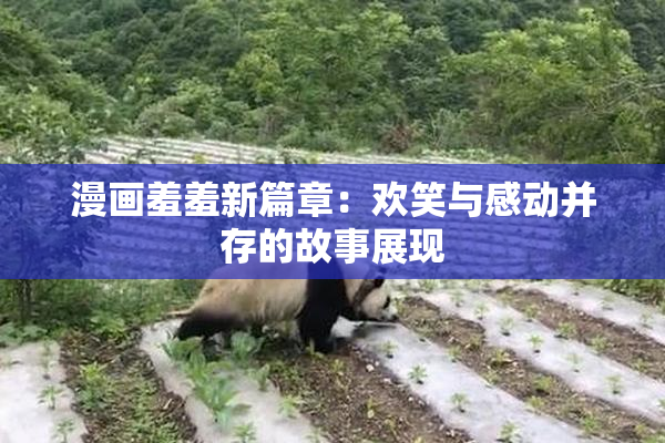 漫画羞羞新篇章：欢笑与感动并存的故事展现