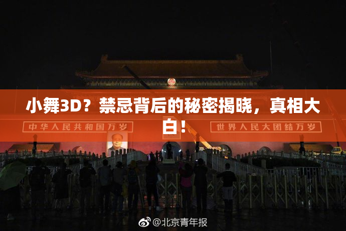 小舞3D？禁忌背后的秘密揭晓，真相大白！