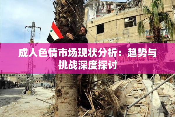 成人色情市场现状分析：趋势与挑战深度探讨