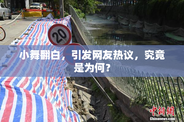 小舞翻白，引发网友热议，究竟是为何？