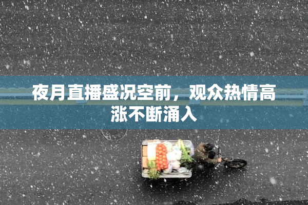 夜月直播盛况空前，观众热情高涨不断涌入