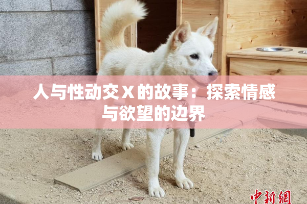 人与性动交Ⅹ的故事：探索情感与欲望的边界