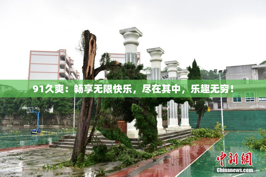 91久爽：畅享无限快乐，尽在其中，乐趣无穷！