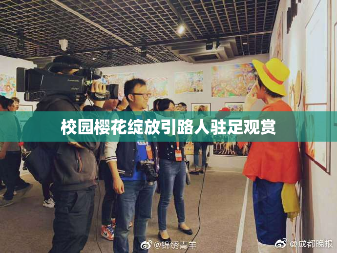 校园樱花绽放引路人驻足观赏