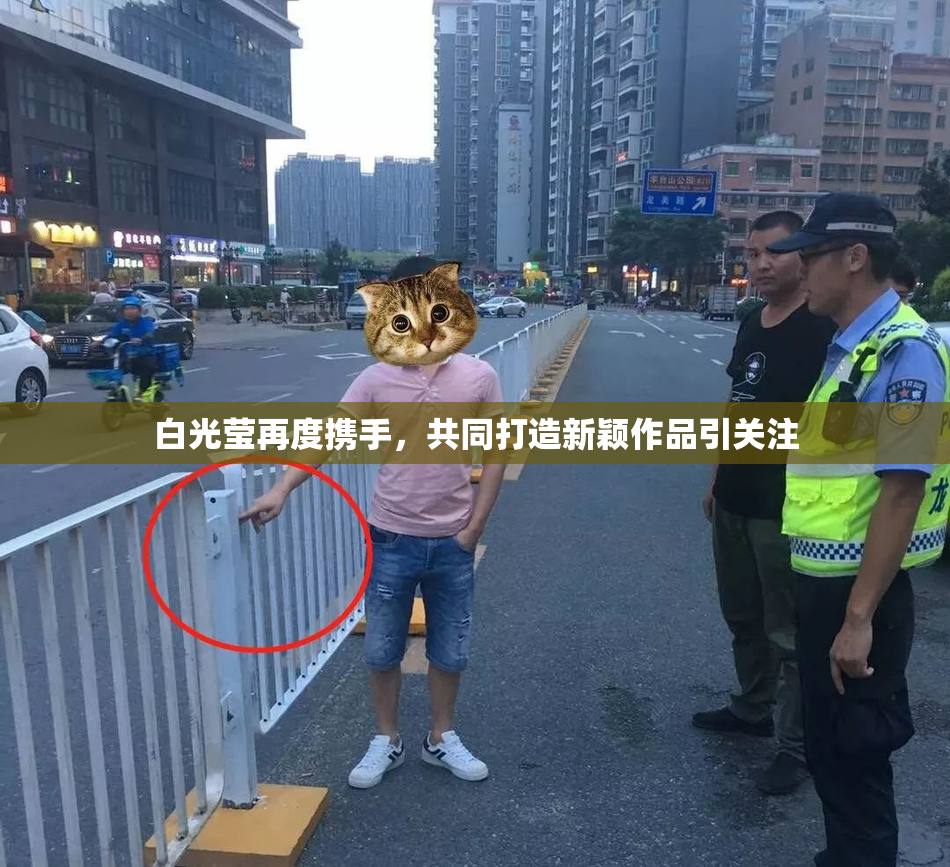 白光莹再度携手，共同打造新颖作品引关注