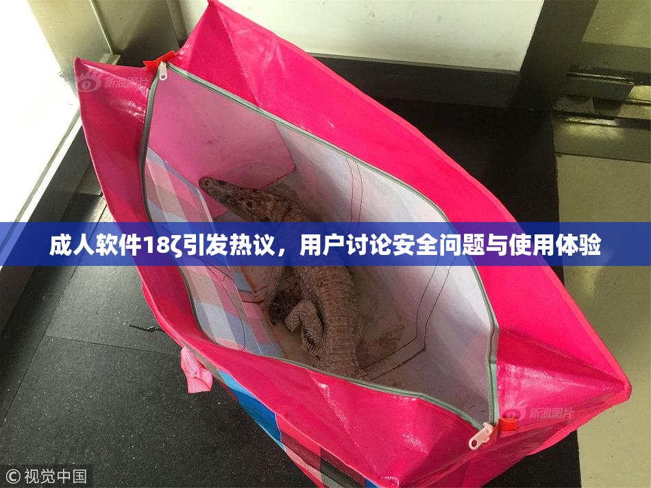 成人软件18ζ引发热议，用户讨论安全问题与使用体验