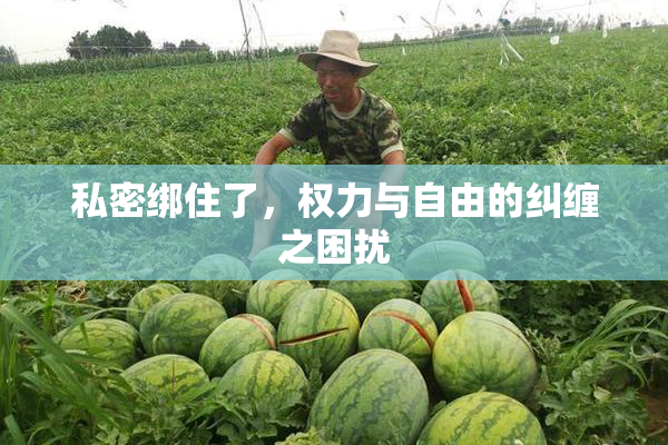 私密绑住了，权力与自由的纠缠之困扰