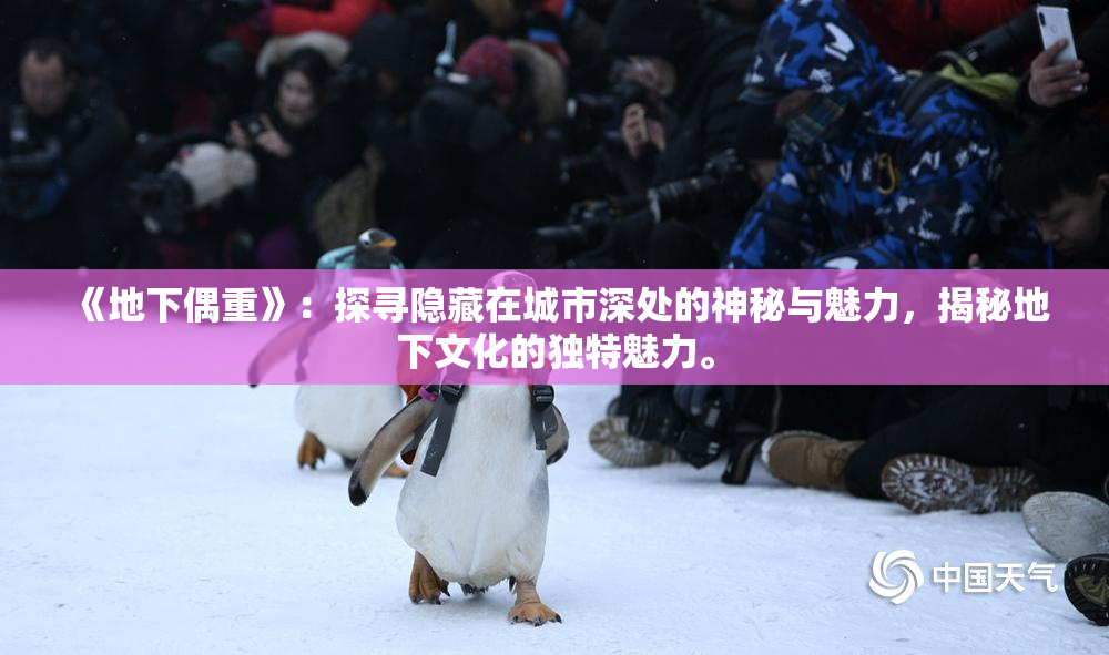 《地下偶重》：探寻隐藏在城市深处的神秘与魅力，揭秘地下文化的独特魅力。