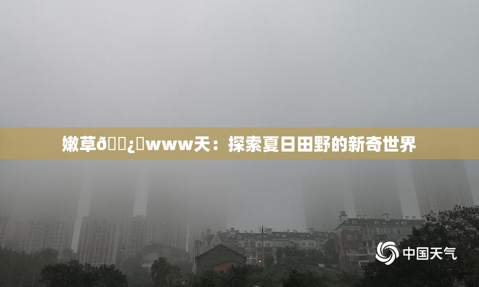 嫩草🌿‌www天：探索夏日田野的新奇世界