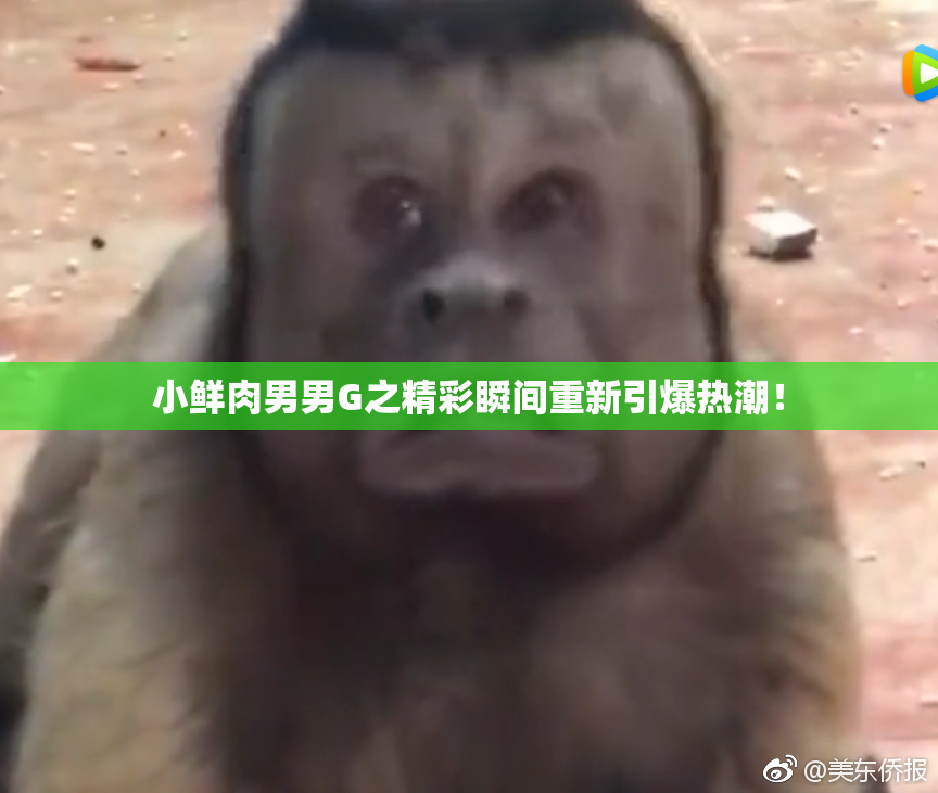 小鲜肉男男G之精彩瞬间重新引爆热潮！