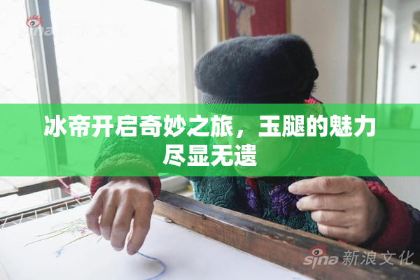 冰帝开启奇妙之旅，玉腿的魅力尽显无遗
