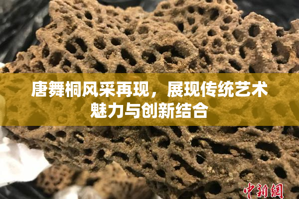 唐舞桐风采再现，展现传统艺术魅力与创新结合