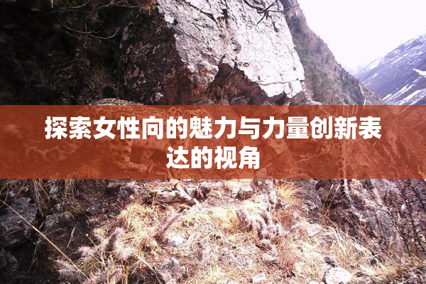 探索女性向的魅力与力量创新表达的视角