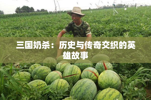 三国奶杀：历史与传奇交织的英雄故事