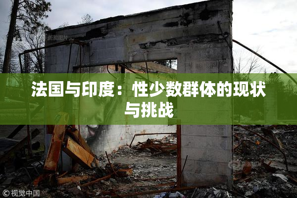 法国与印度：性少数群体的现状与挑战