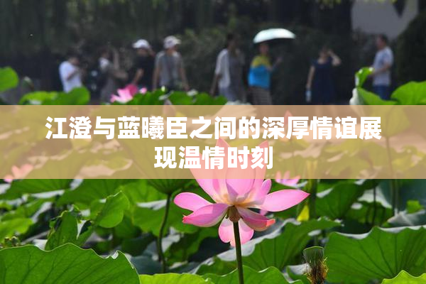 江澄与蓝曦臣之间的深厚情谊展现温情时刻