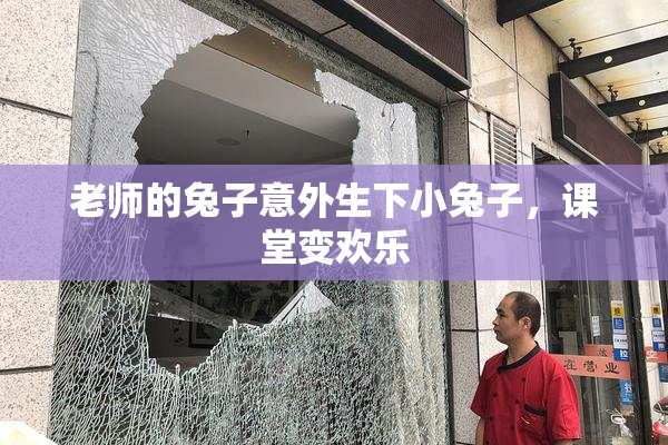 老师的兔子意外生下小兔子，课堂变欢乐