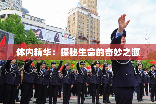 体内精华：探秘生命的奇妙之源