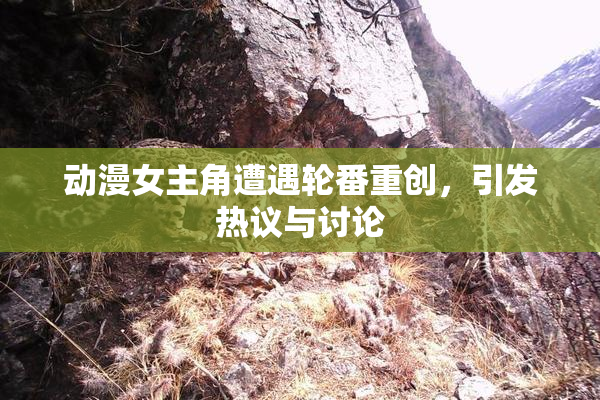 动漫女主角遭遇轮番重创，引发热议与讨论
