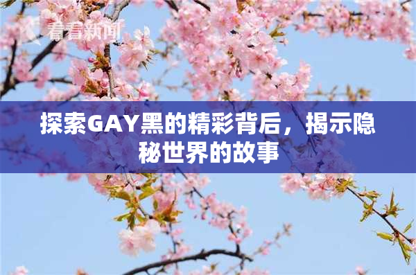 探索GAY黑的精彩背后，揭示隐秘世界的故事